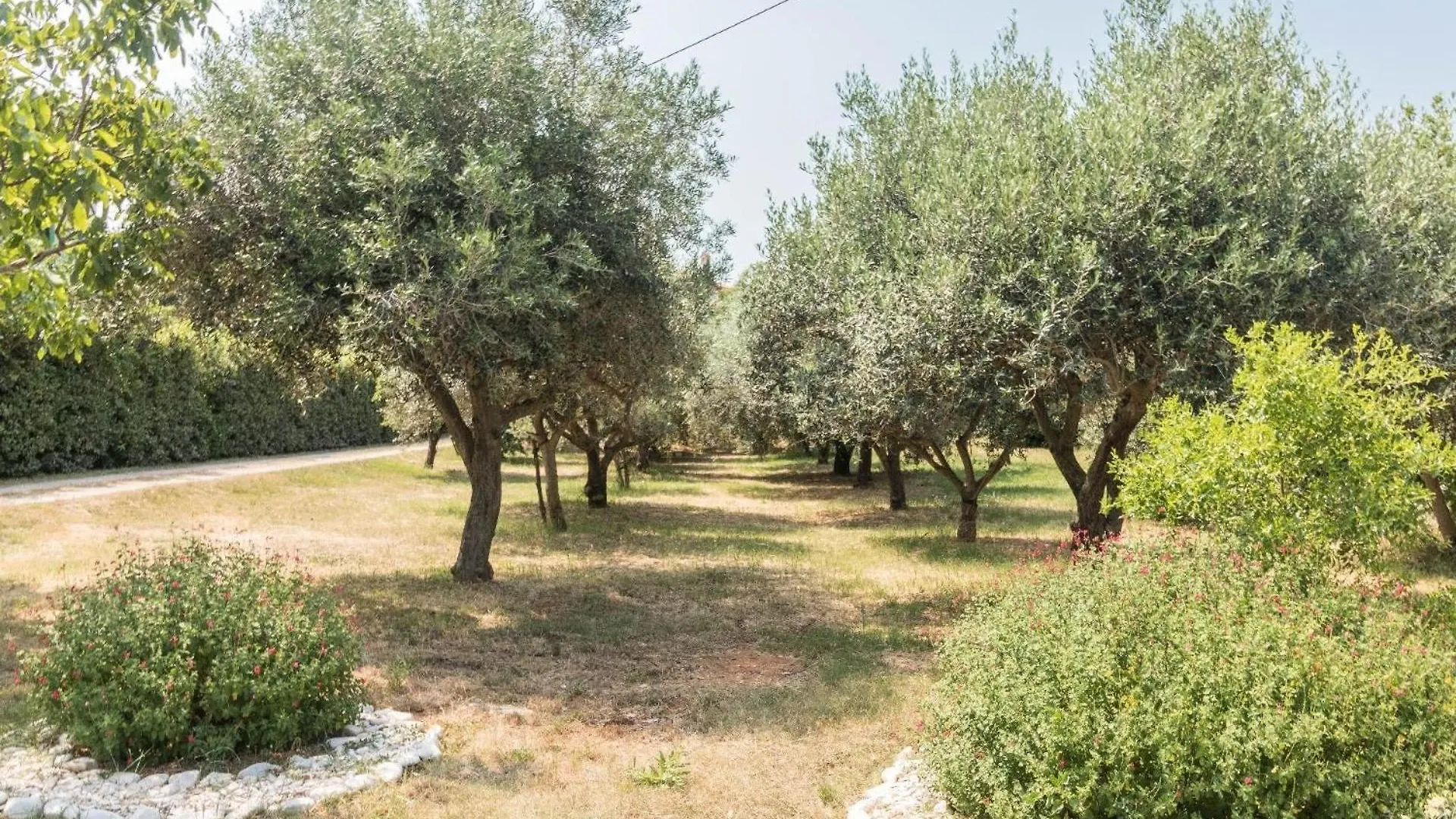 Ferienwohnung Fuer 6 Personen Ca 46 Qm In Liznjan, Istrien Suedkueste Von Istrien Croatia